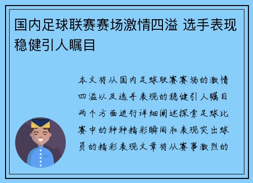 国内足球联赛赛场激情四溢 选手表现稳健引人瞩目