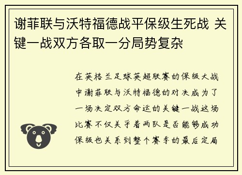 谢菲联与沃特福德战平保级生死战 关键一战双方各取一分局势复杂