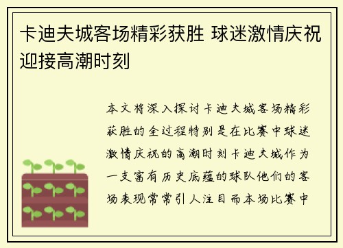 卡迪夫城客场精彩获胜 球迷激情庆祝迎接高潮时刻